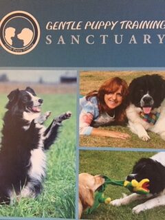 Monique says PAIN & FEAR has NO place in dog training