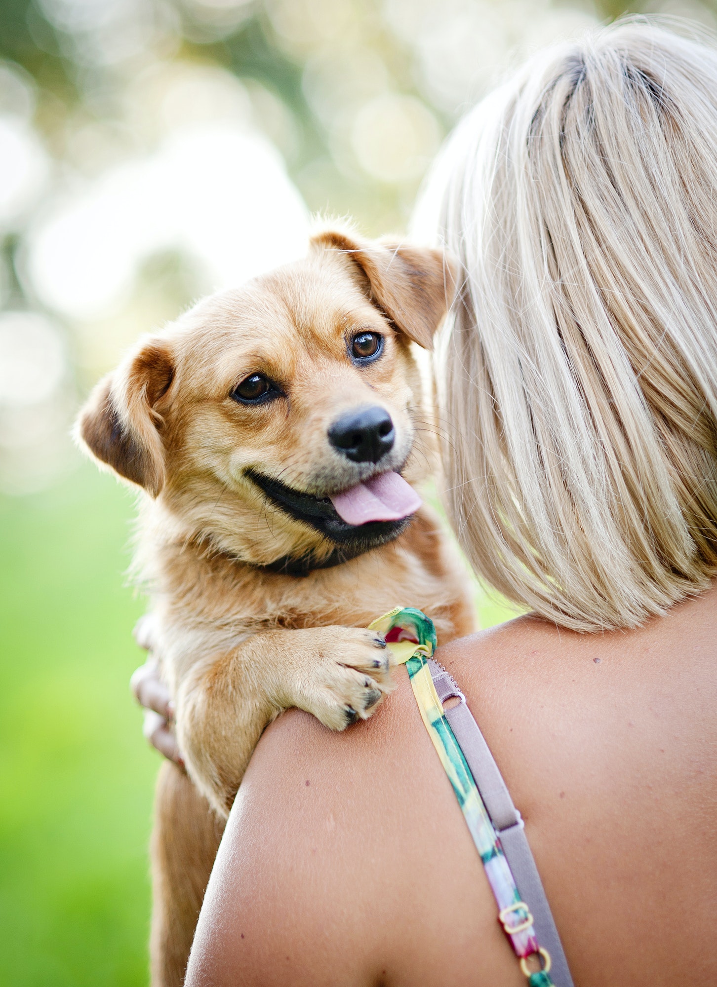 Gentle Puppy Training believes in beginning puppy training